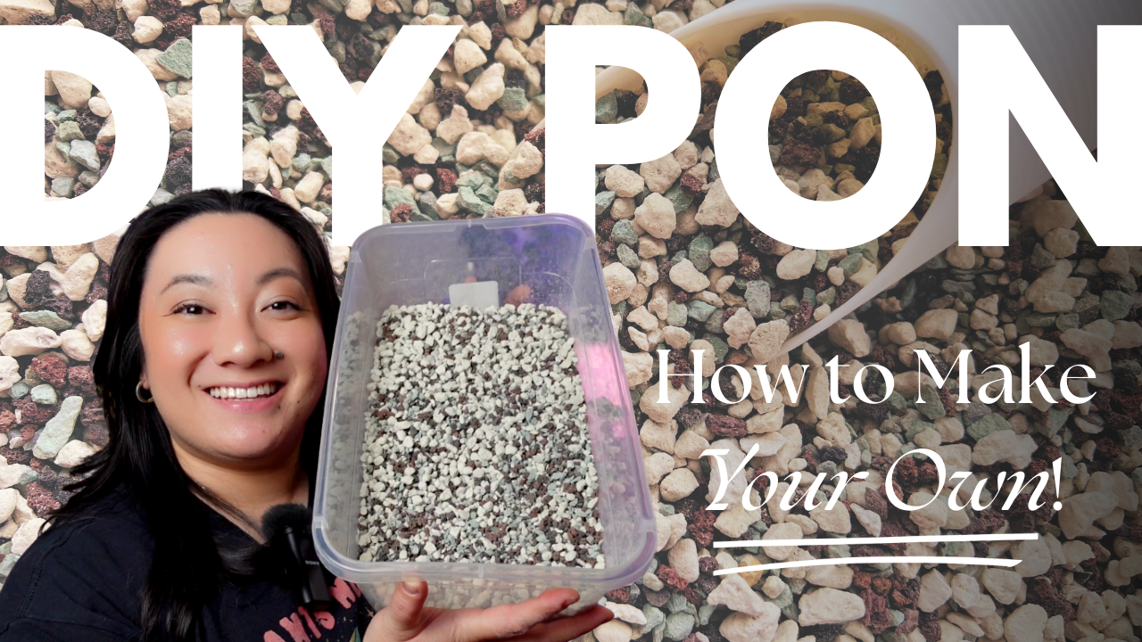 Can't Find Lechuza Pon? Make THIS Instead (Easy DIY Guide!) thumbnail