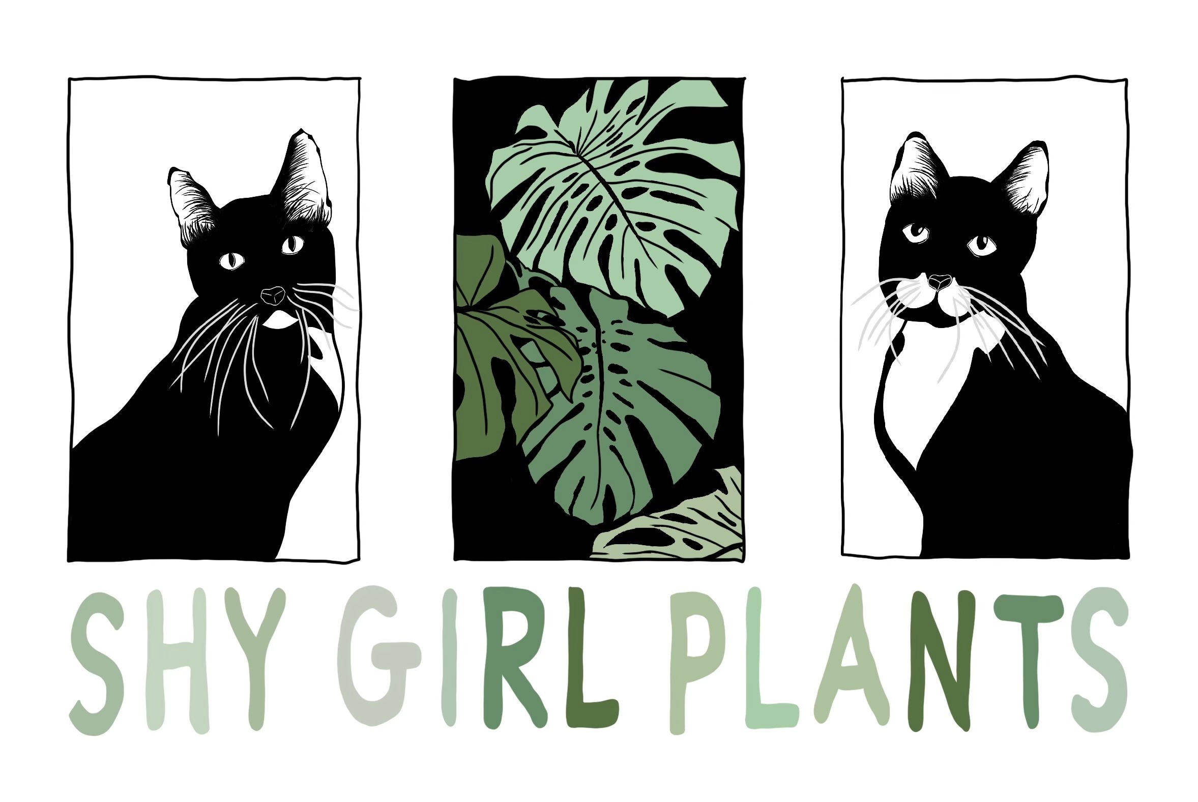 Shy Girl Plants Shop thumbnail