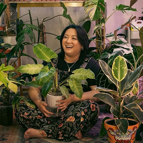 Amazon Storefront thumbnail