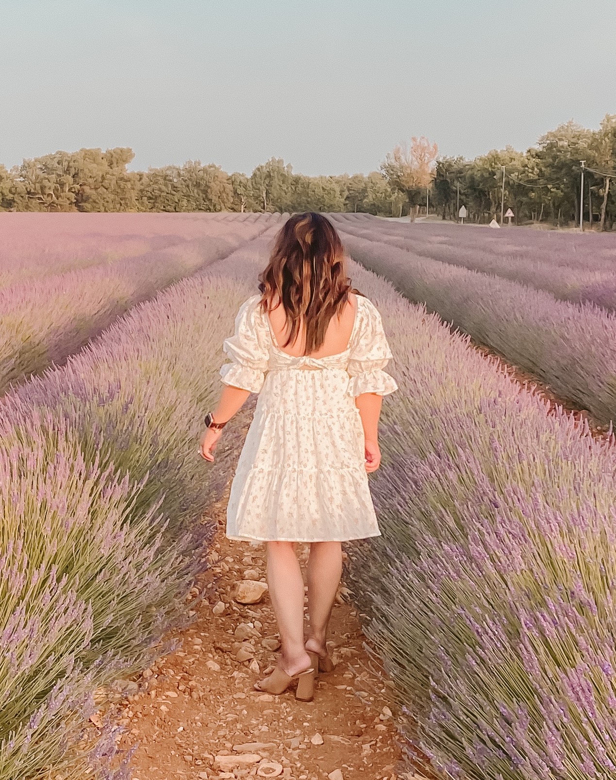 Shop Morning Lavender - DISCOUNT CODE:  RUEMARGAUX thumbnail