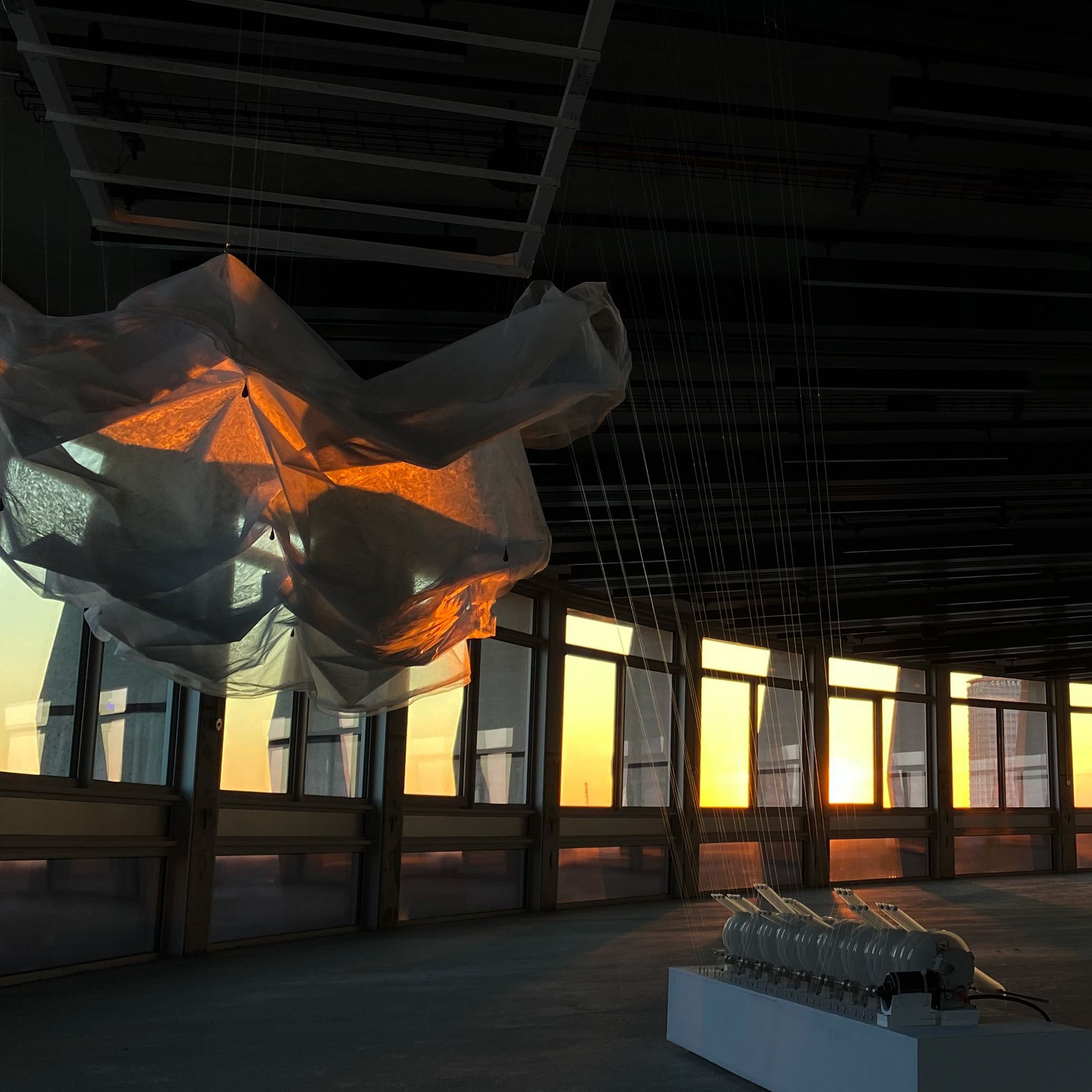 Earth Day at Space House thumbnail