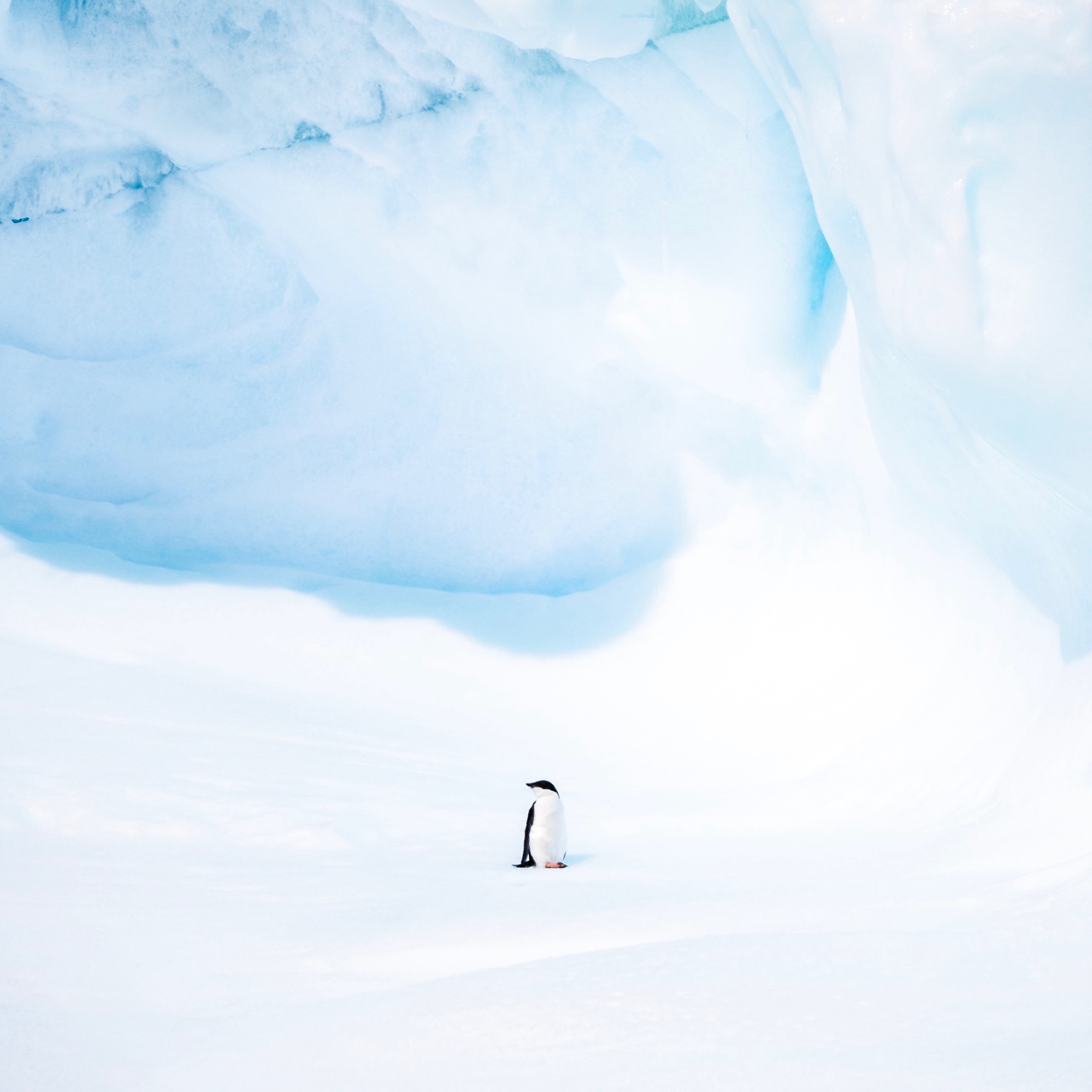 Desktop Calendar thumbnail