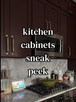 this just a sneak peek as I couldn’t contain my excitement! 😝 I still plan to show y’all spotlights on hardware, trim, h