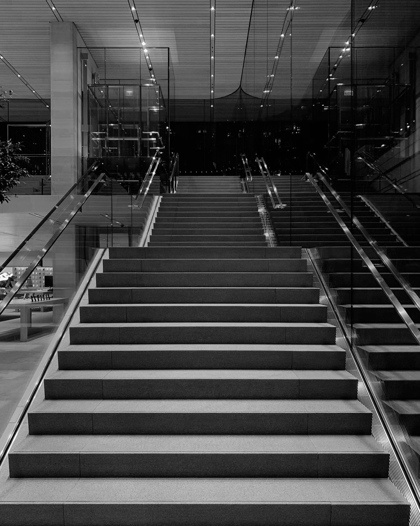 B&W #1
.
.
.
.
.
.
.
.
.
.
#applestore #chicago #blackandwhite