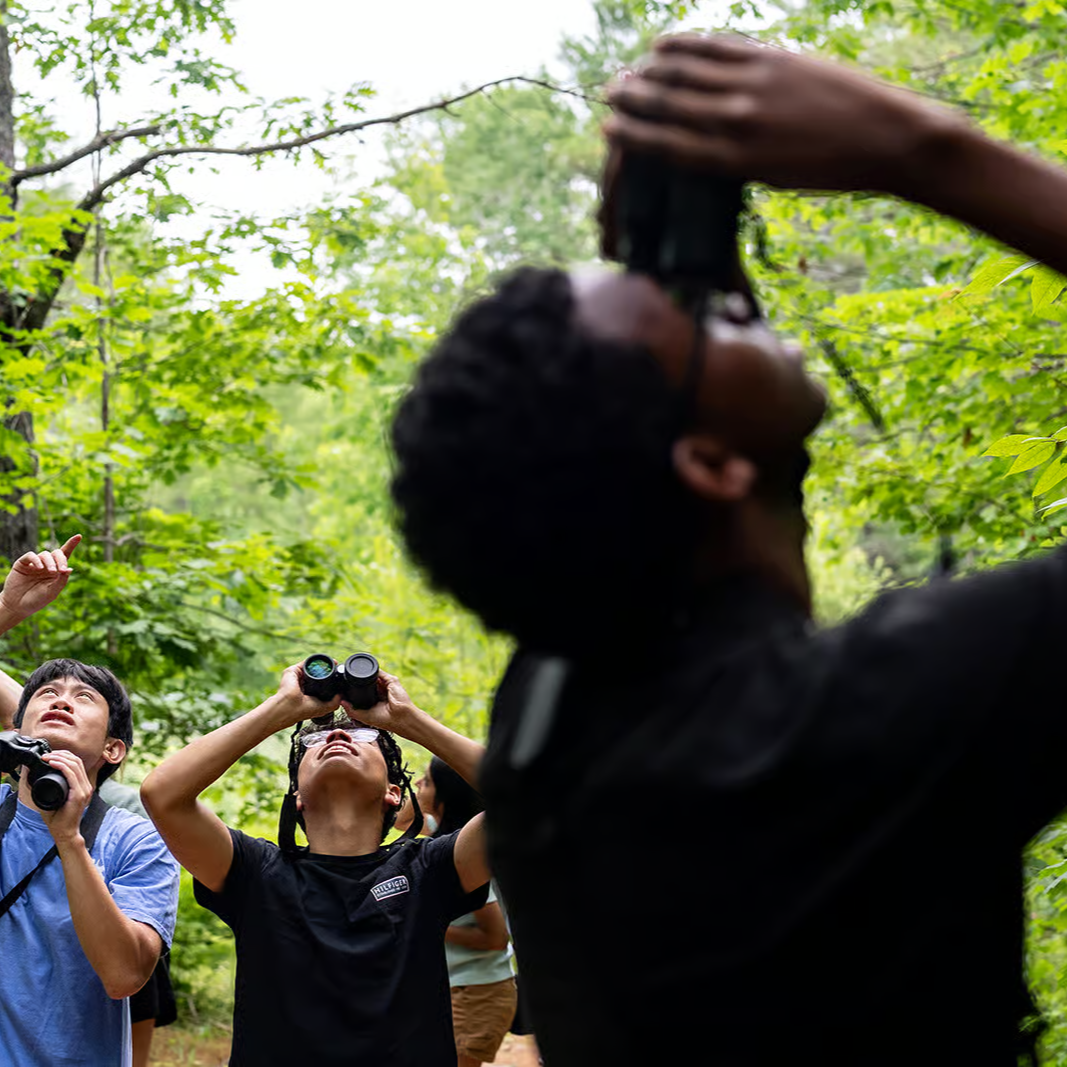 The Human Element thumbnail