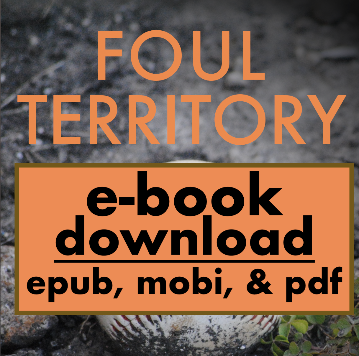 DRM-free E-books ... cheap! thumbnail