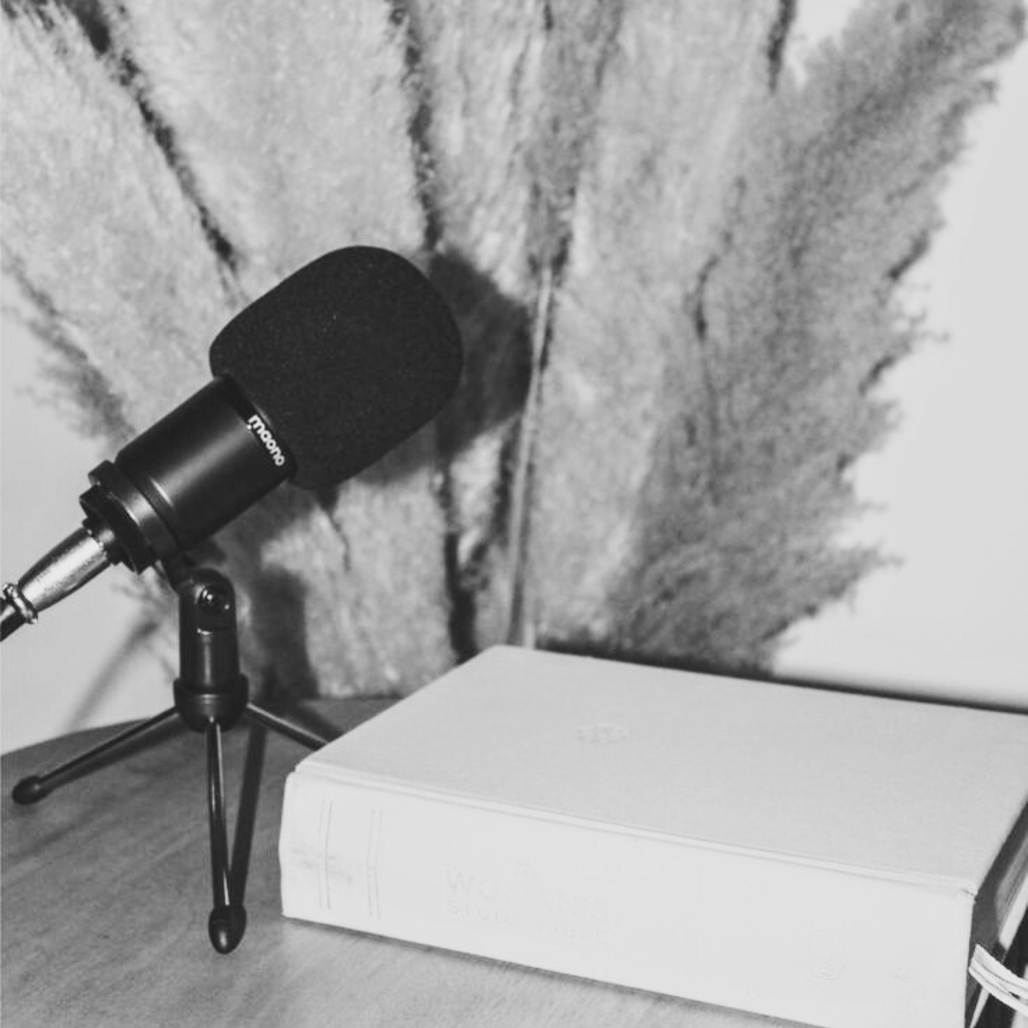 The Paper | Substack & Podcast thumbnail