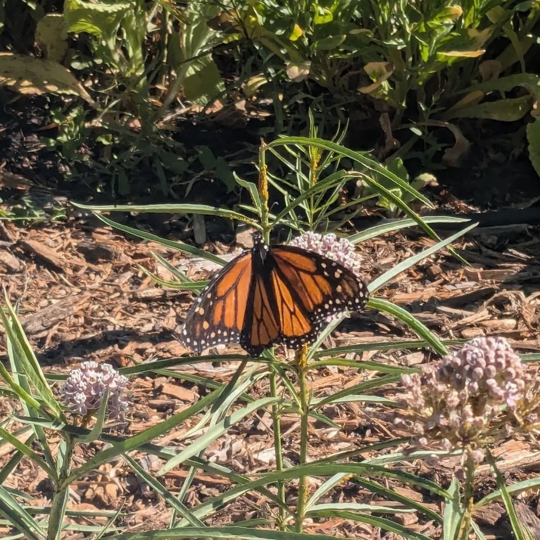 Join us on Bluesky! thumbnail