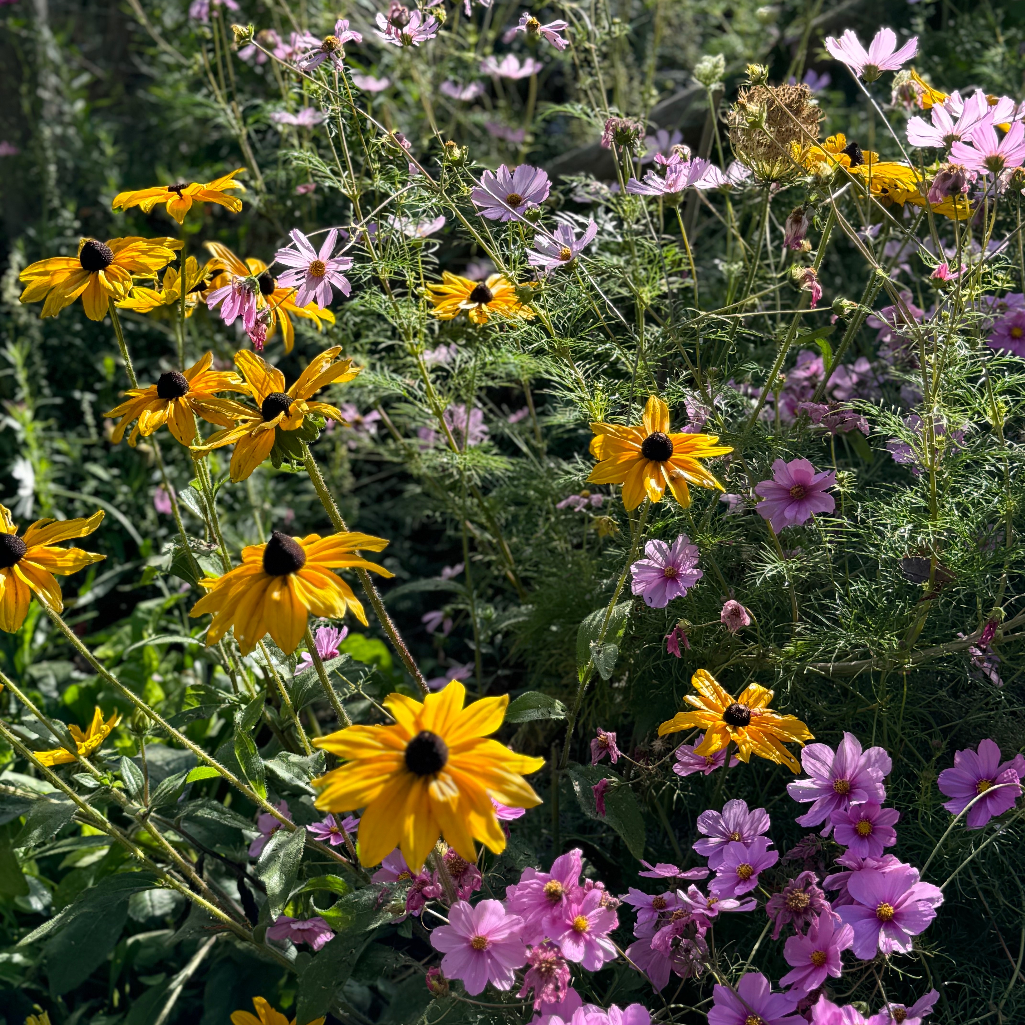 Newsletters thumbnail