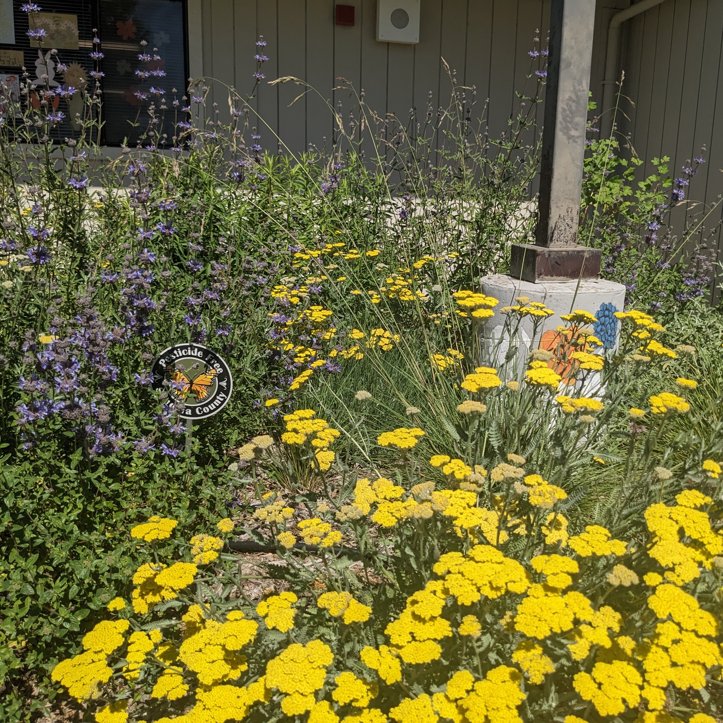 Schoolyard Habitat Program thumbnail