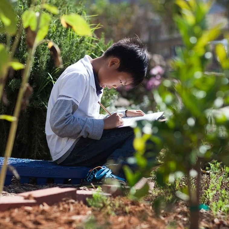 Teacher Training Resources thumbnail