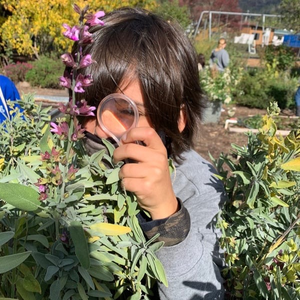 Now Hiring: Summer Garden Camp Manager! thumbnail