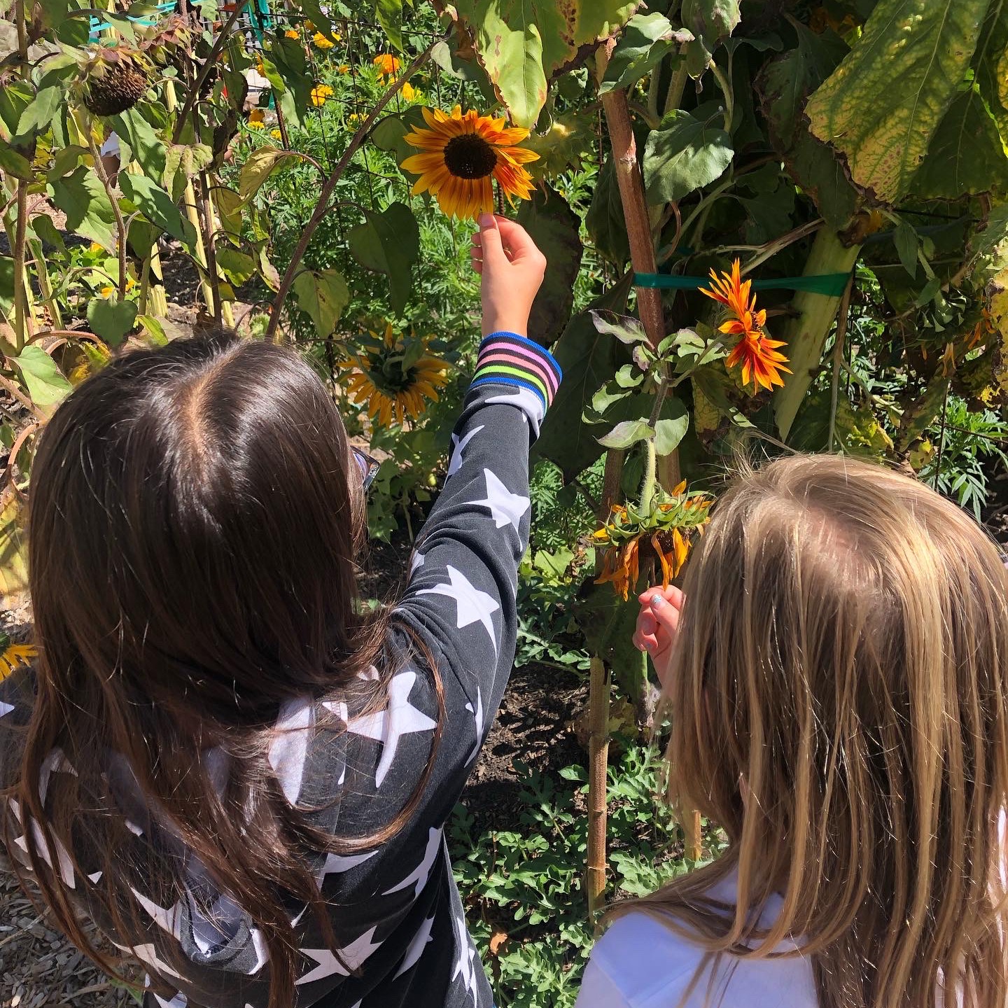 Join our Board thumbnail