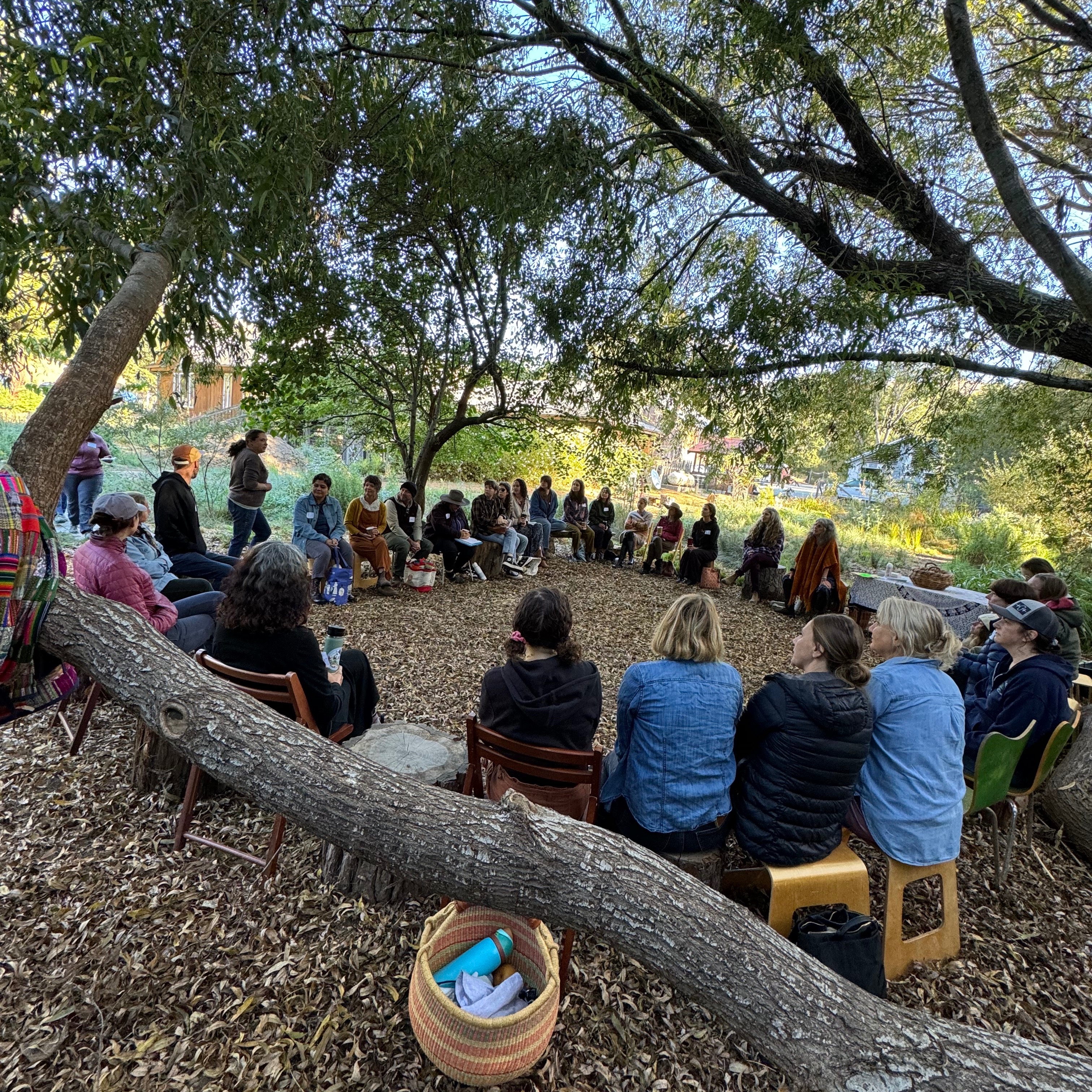 Upcoming Teacher Trainings thumbnail