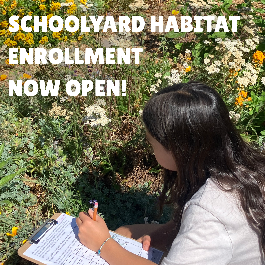 Enroll in Schoolyard Habitat Program thumbnail