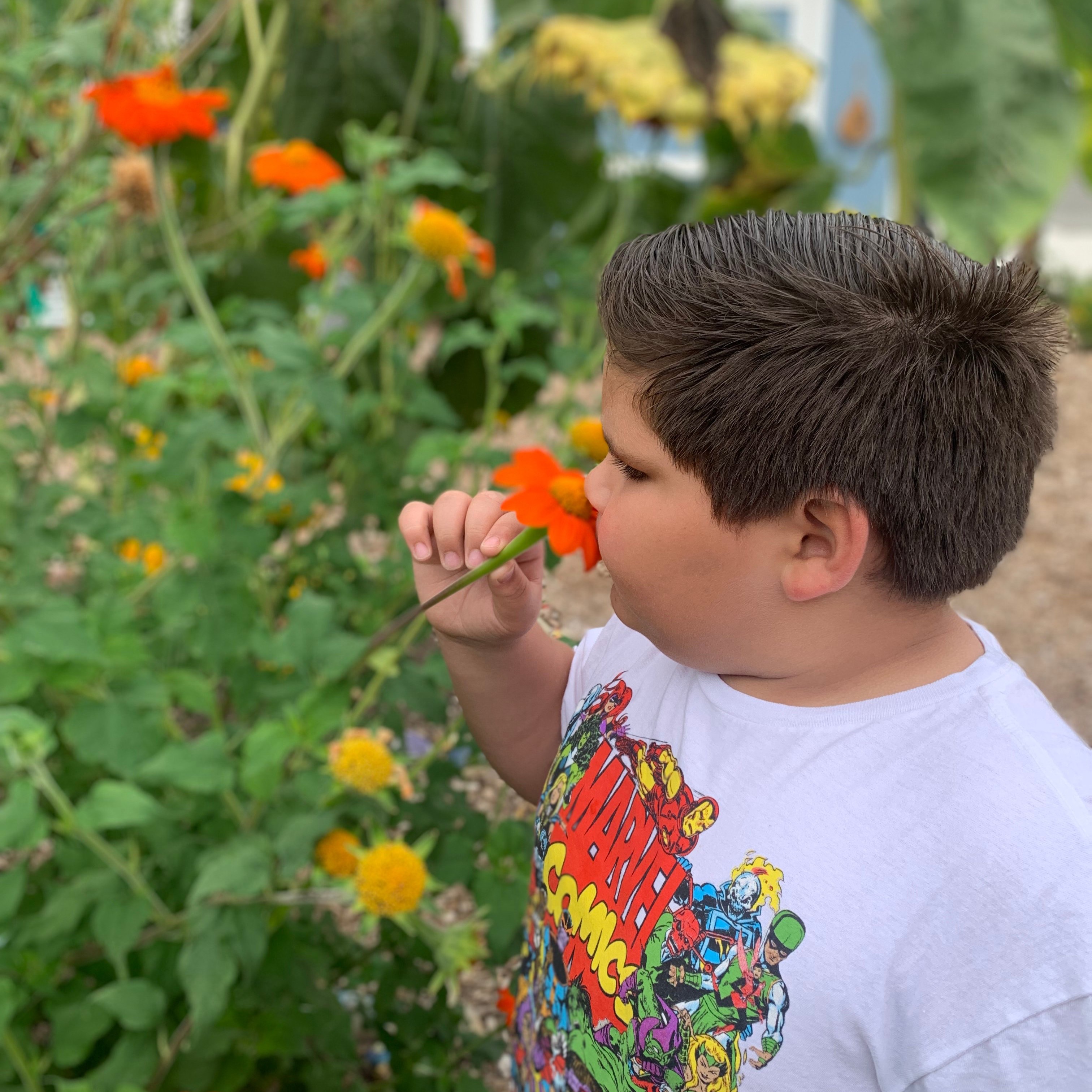 Register as a Partner School thumbnail