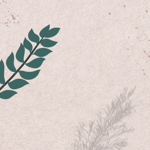 Visit the website thumbnail