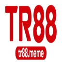 TR88 thumbnail