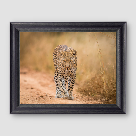 The Fairest Of Them All  thumbnail