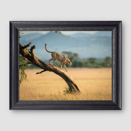 The Descent thumbnail