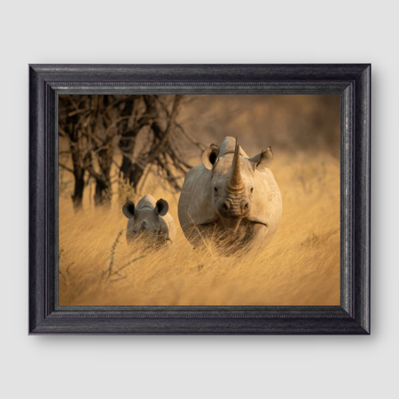 The Guardian  thumbnail