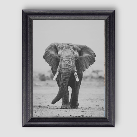 The Great One  thumbnail