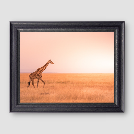 Pastel Plains thumbnail