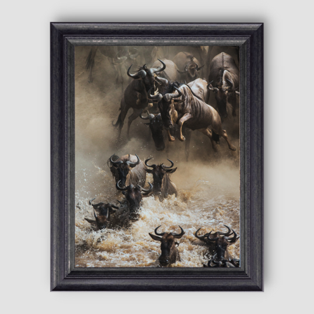 The Crossing  thumbnail