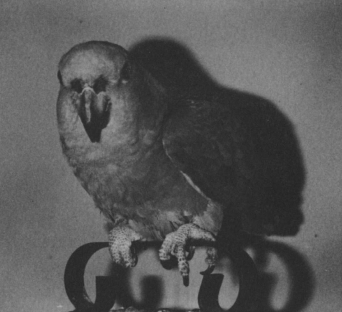 Ki Issue 4 — Qui Parle, "Weighing of the Light" thumbnail