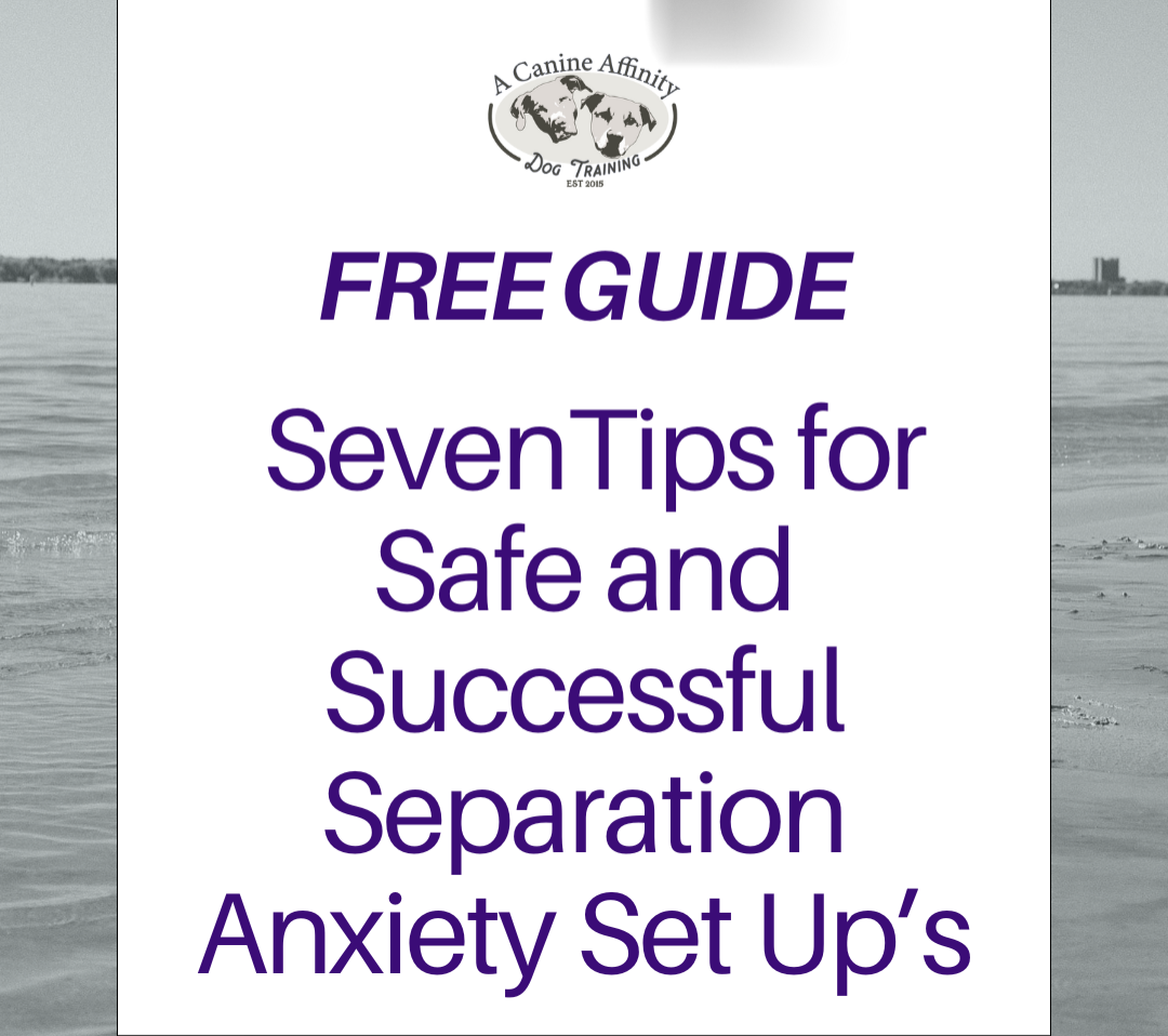 7 Tips To Safe Separation Anxiety Set up's  thumbnail