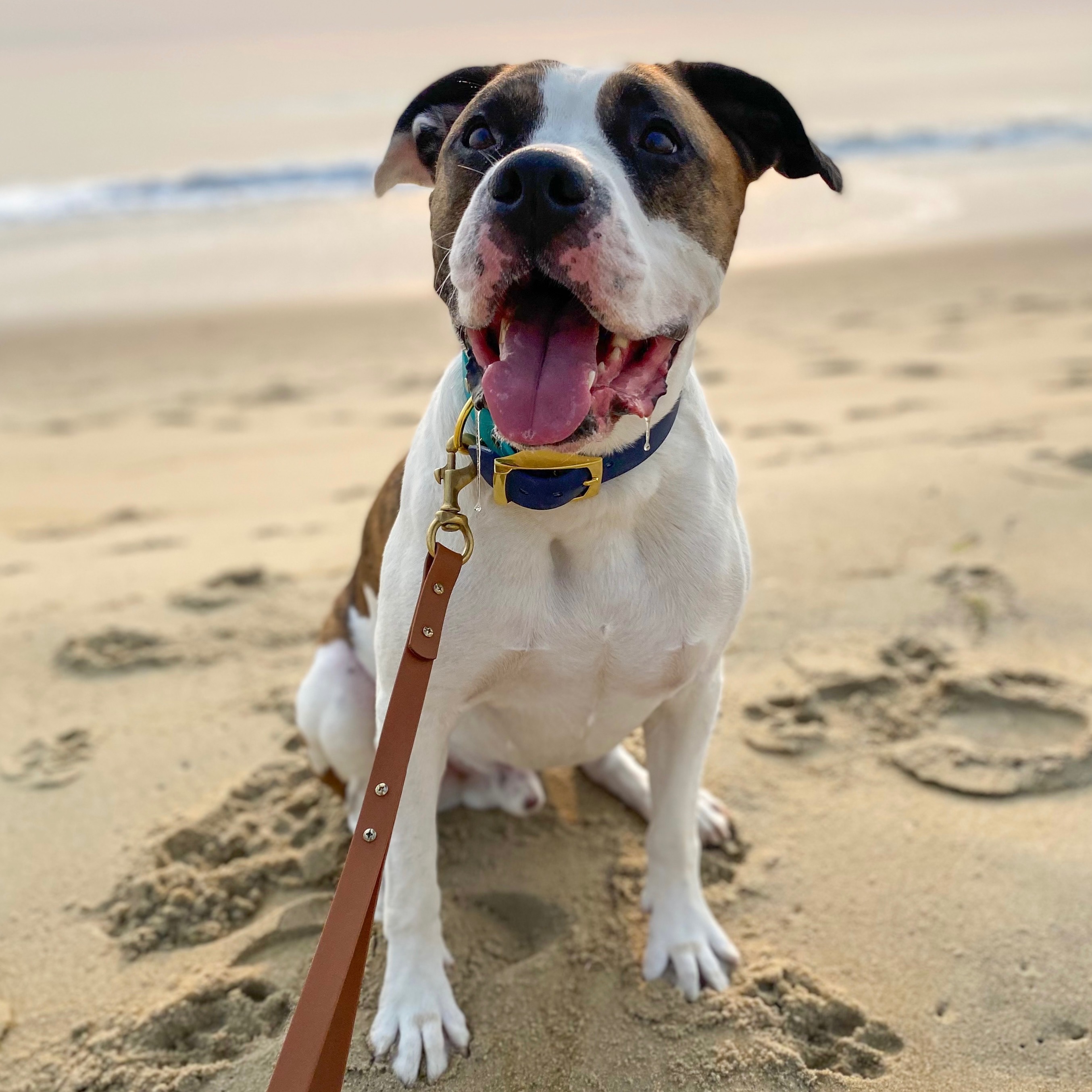 Merely Mavy • Code BOOKO thumbnail