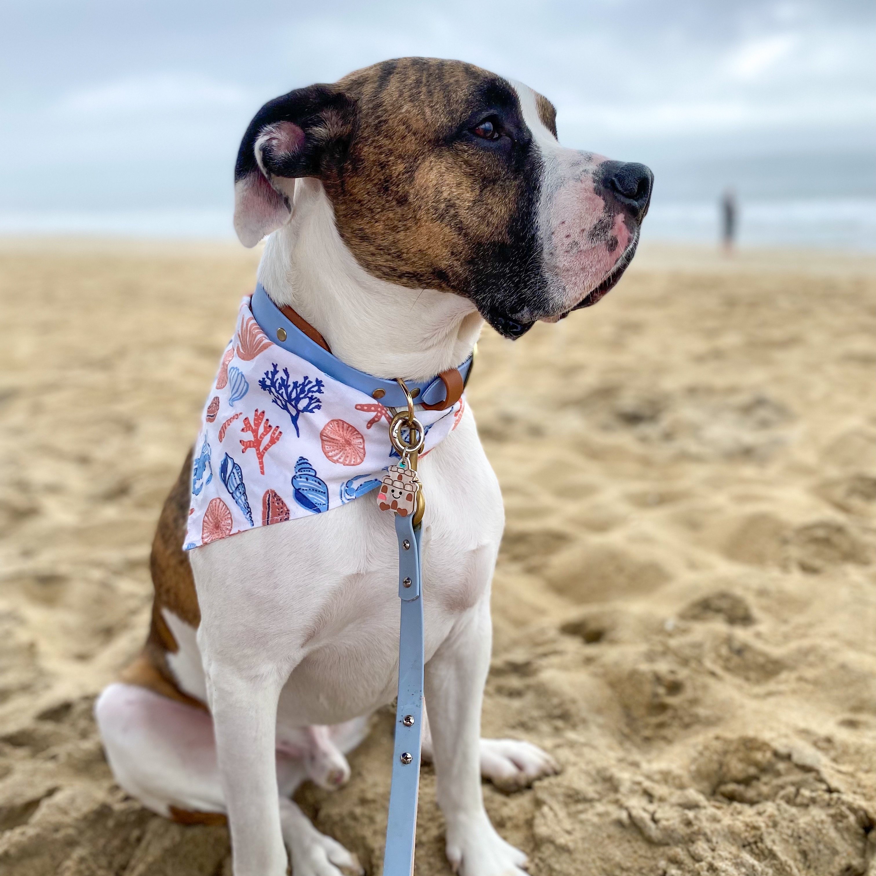 Doze of D Vibe • Code BOOKO15 thumbnail