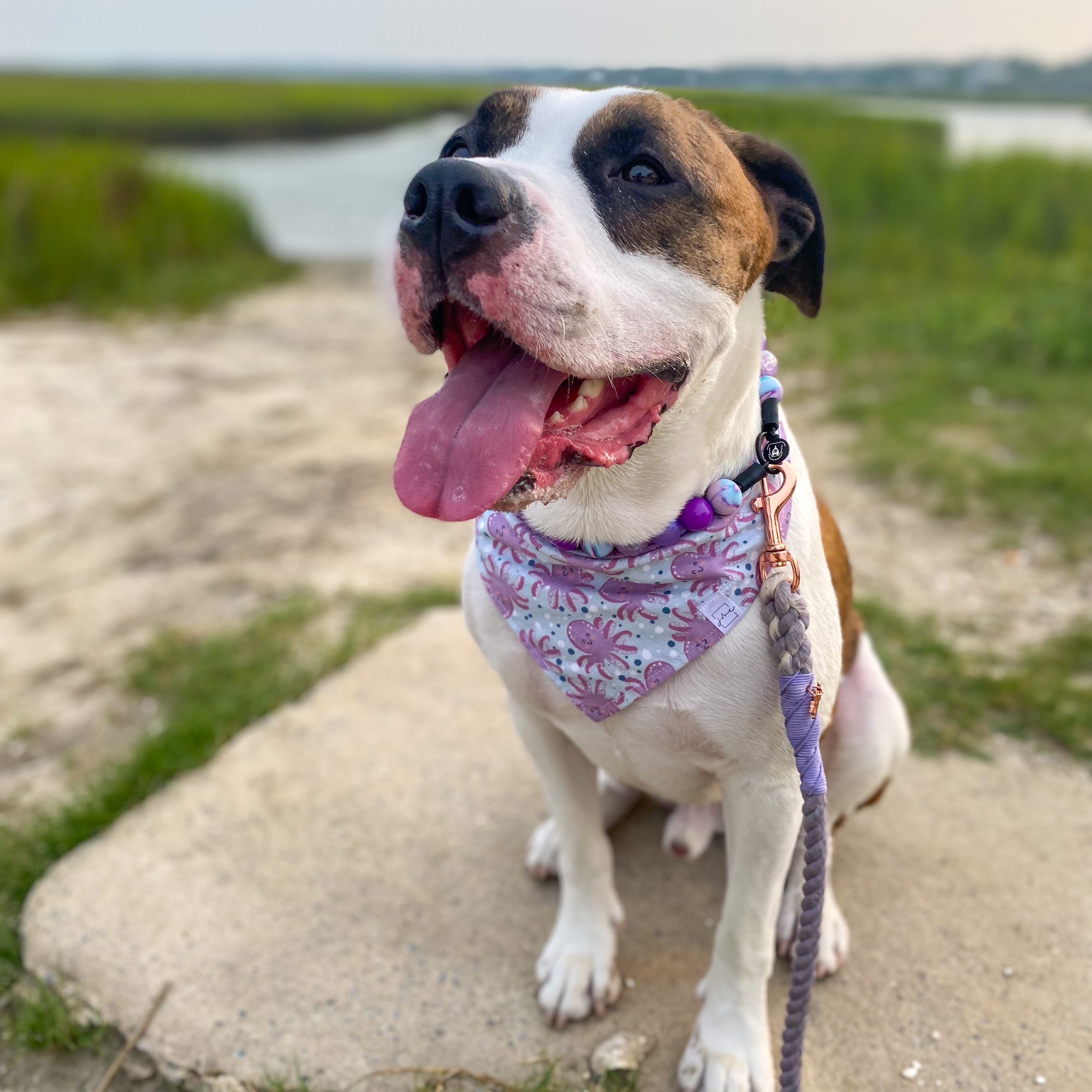 JMC • Code BOOKO15 thumbnail