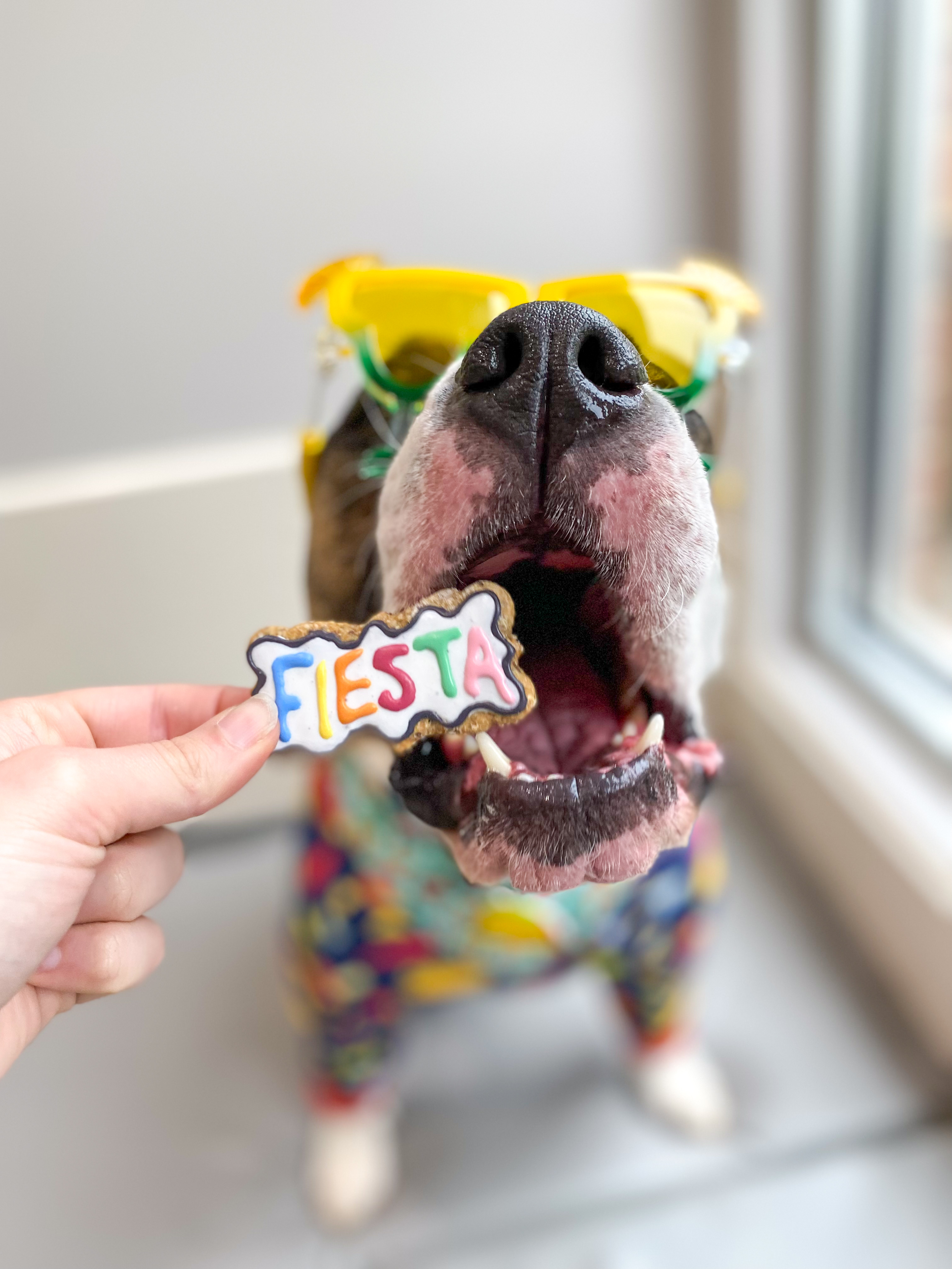 Unleash the Crunch • Code BOOKO10 thumbnail