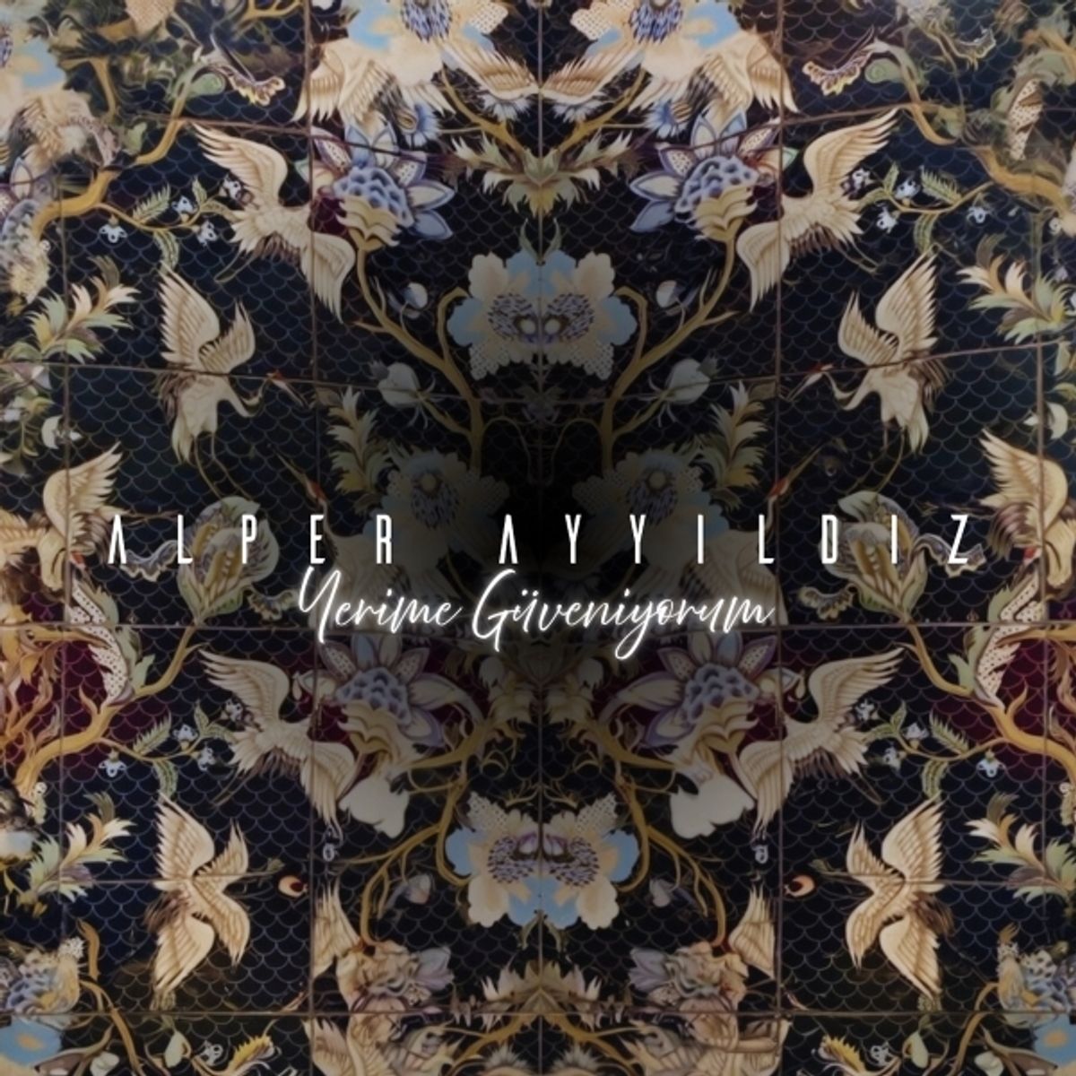 Alper Ayyıldız — Yerime Güveniyorum thumbnail