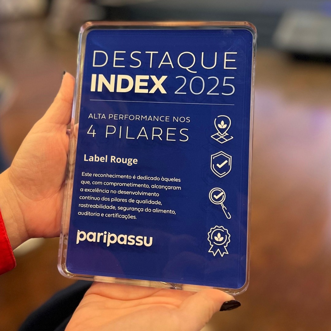 Destaque INDEX 2025 thumbnail