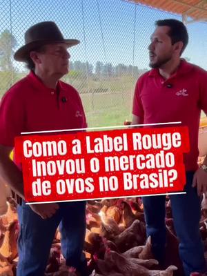Quer descobrir como a Label Rouge inovou o mercado de ovos no Brasil? Compartilhe com quem ainda não conhece essa histór