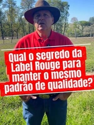 Quer descobrir o segredo da qualidade dos ovos caipiras Label Rouge?  Compartilhe com quem ainda não conhece o padrão de