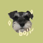 Boji🥧✨ thumbnail