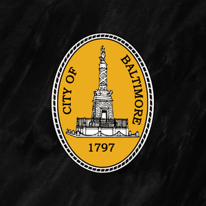 Baltimore City Council Photography thumbnail