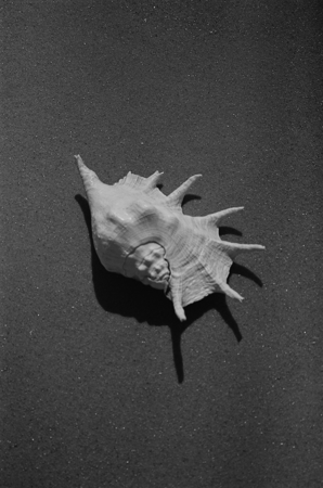 Shop Araza Beauty 15% off thumbnail