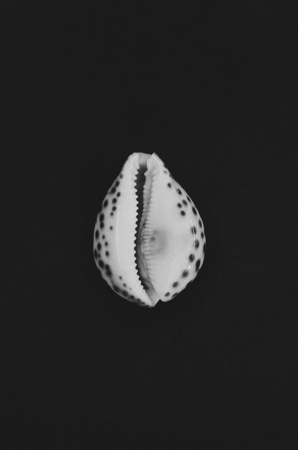 Journal thumbnail