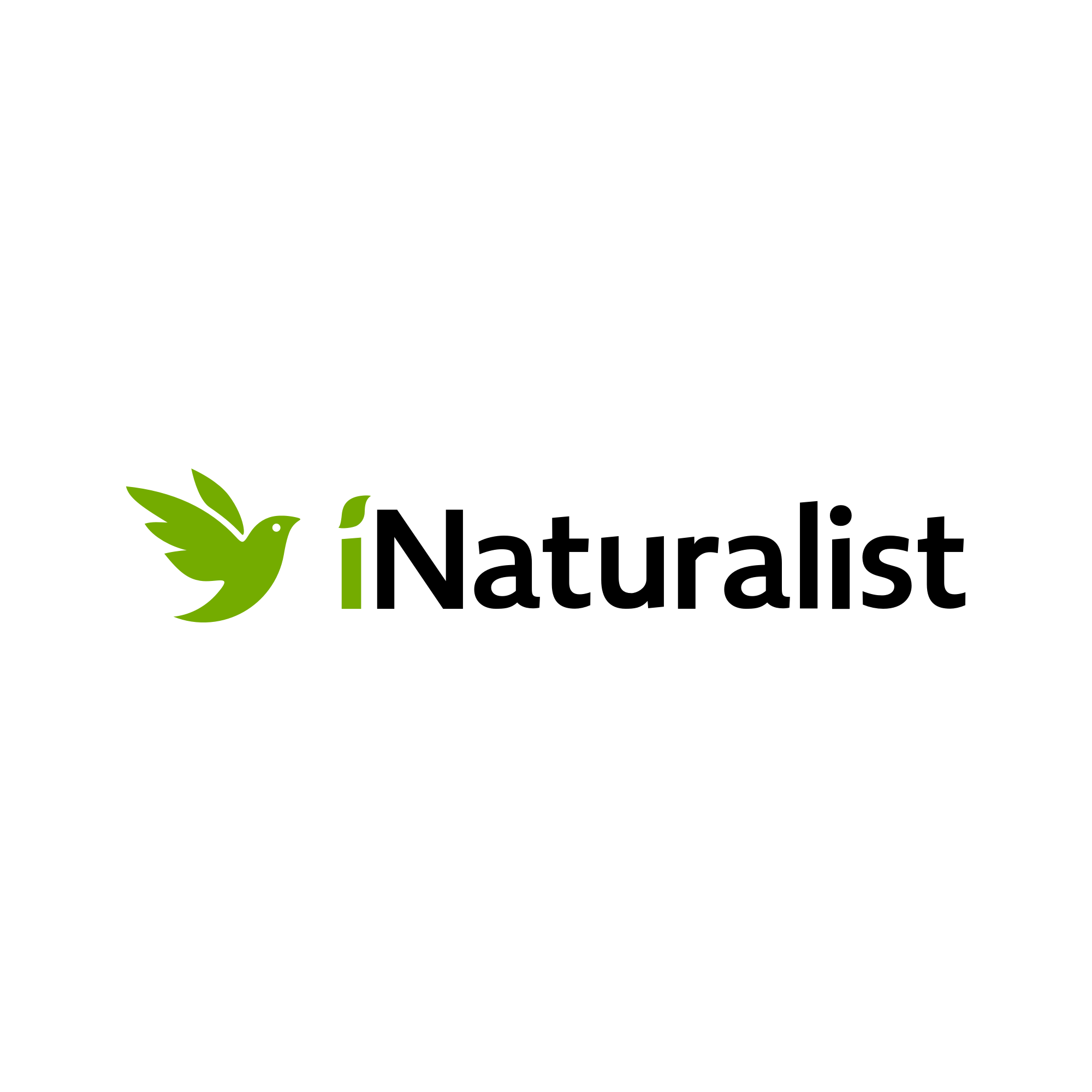 viktoronald's Profile ·  iNaturalist thumbnail