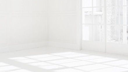 BioSite banner for @wholesaler