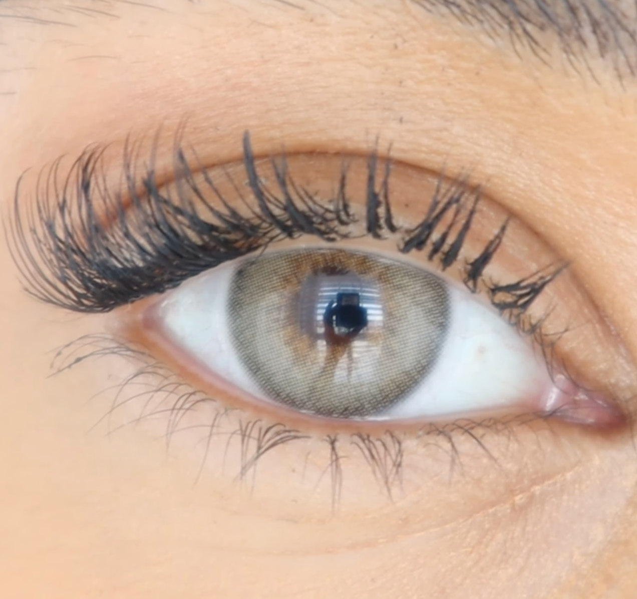 Burnt Butter Hazel - Dimple Color thumbnail