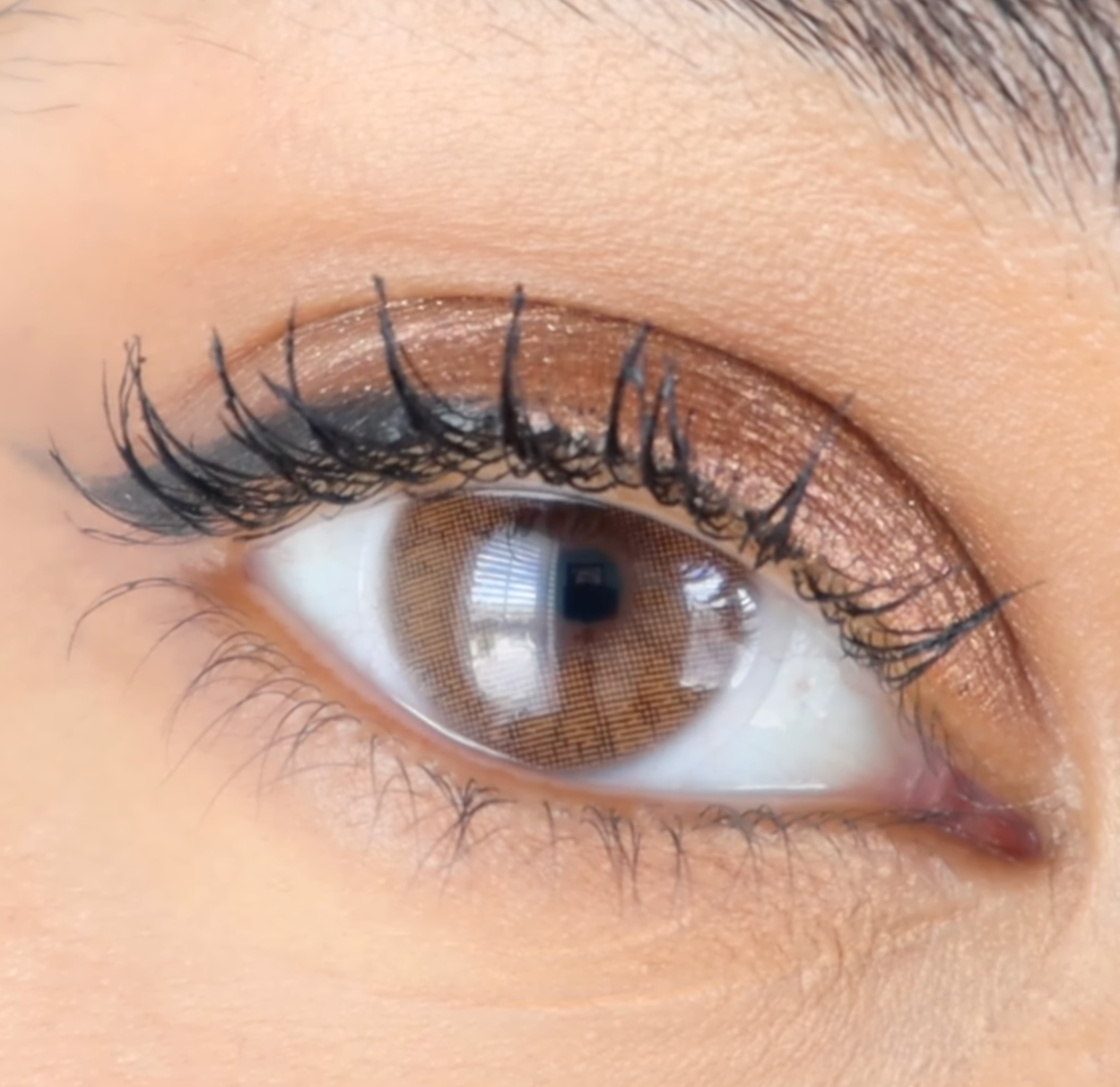 Aquarella Tupis Brown - Solotica thumbnail