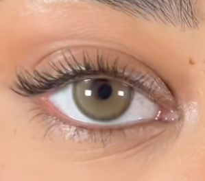 Bare Olive - Coleyes thumbnail