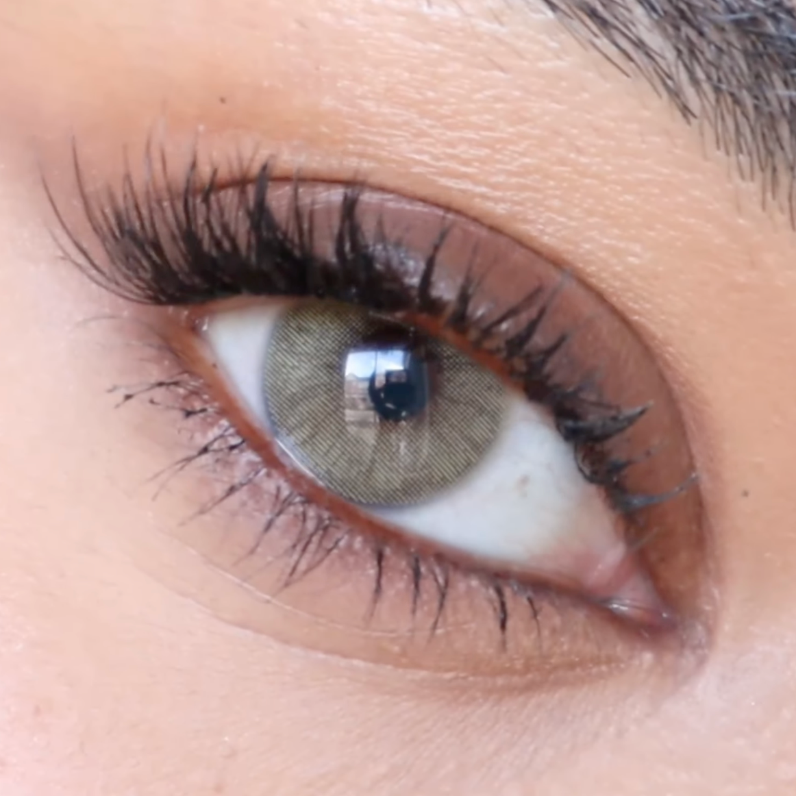 Sugar Brown - COLORCL thumbnail