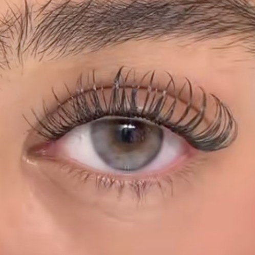 French Shine Gray - OLENS thumbnail