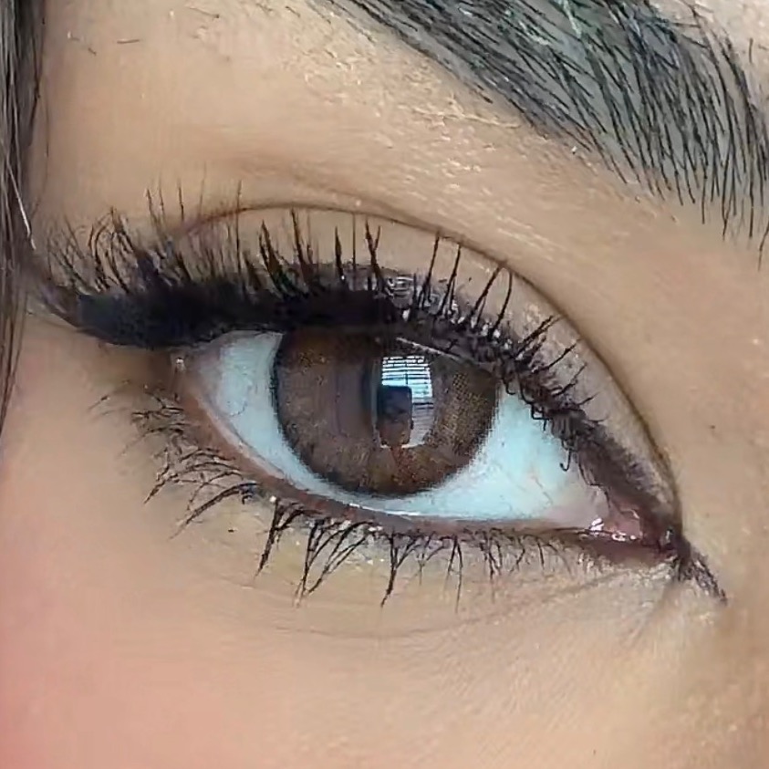 Twilight Brown - Dimple Color thumbnail